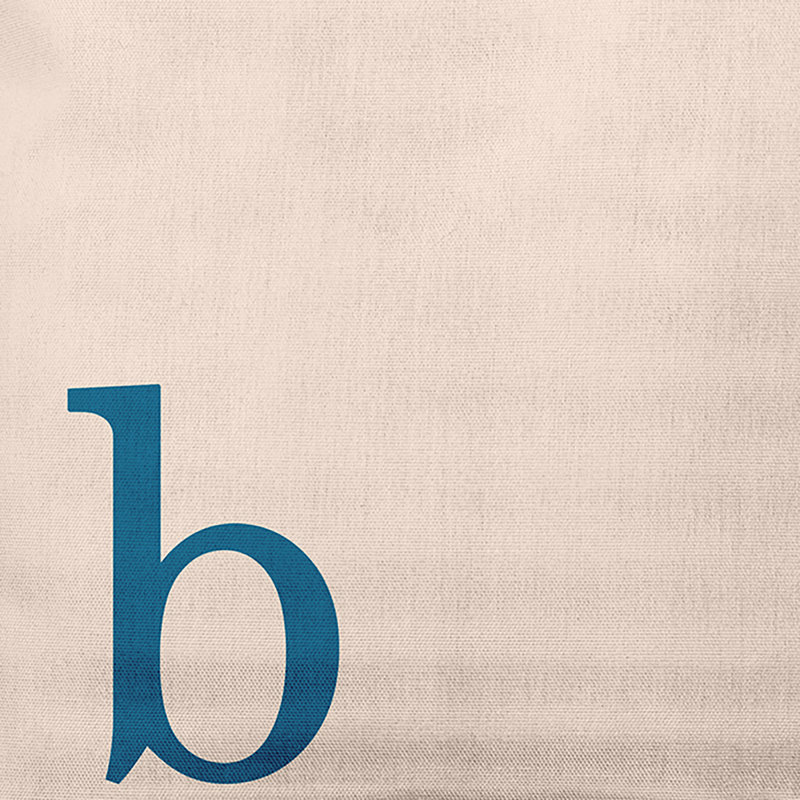 Coussin décoratif moderne Modern Monogram, Automne bleu, 16 po x 16 po, B