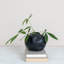 Idalou Round Coarse Terracotta Organic Shaped Vase with Volcano Finish-1741581095