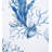 Majorca 100% Cotton Fabric