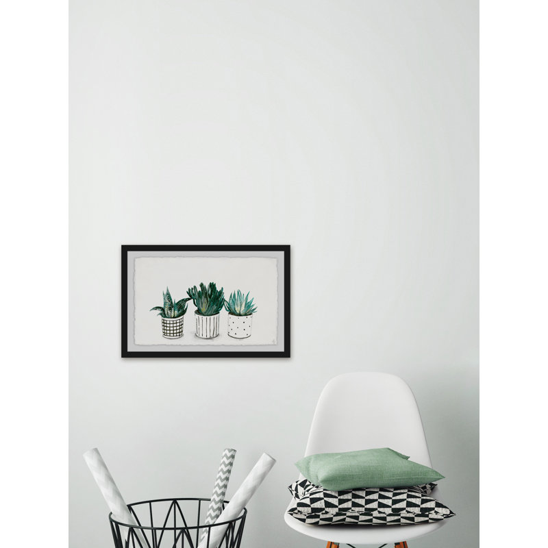 Succulent Mix - Single Picture Frame Painting, 61 cm H x 91 cm W x 3.81 cm D