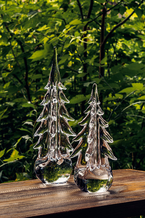 Evergreens