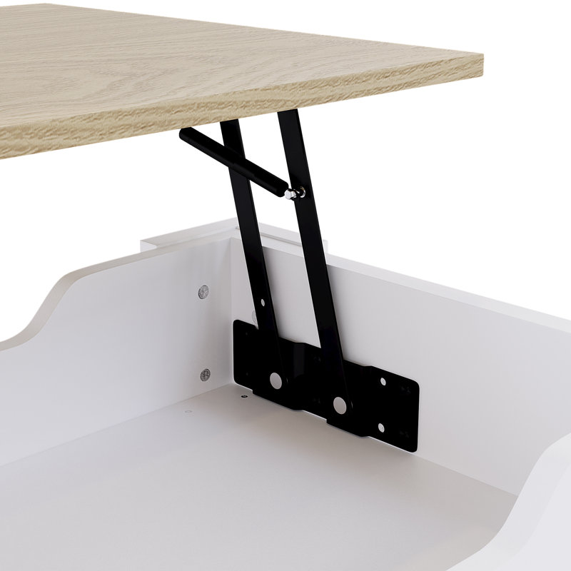 Anavictoria Lift Top Coffee Table with Storage, White, Oak