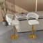 Christal Height Adjustable Swivel Bar Stool-1824469461-1824469456