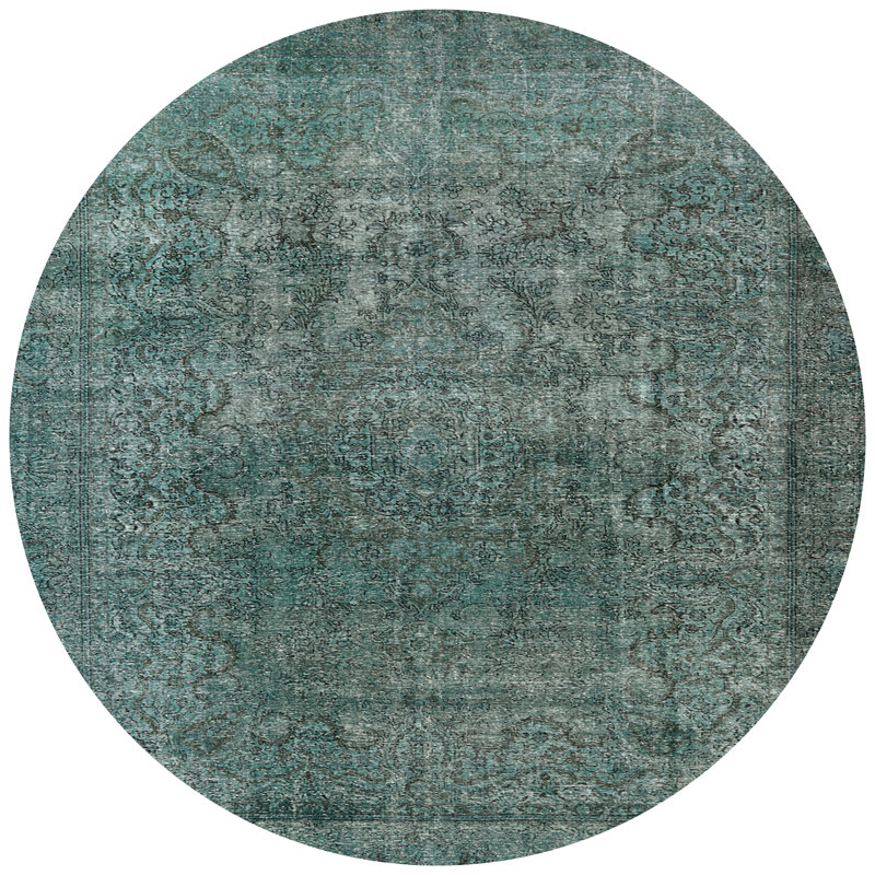 Hudak Oriental Indoor Rug, Round 3'