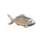 Gavankar Animals Figurines & Sculptures