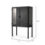 Chauncey 2 -Door Storage Cabinet