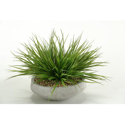 Faux Grass in Concrete Planter