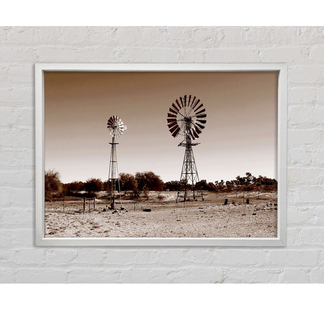 Australische Windmühlen Sepia - Druck