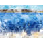 Canadian Geese 2524 Print by Chamira Young-71202444-71202443