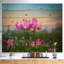 «Blooming Lotus Flowers at Sunset», photographie-26669336-35125732