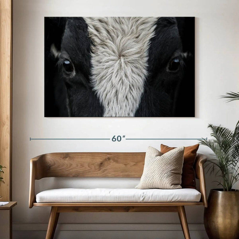 Yeux de vache Brampt, H 34 po x l 51 po