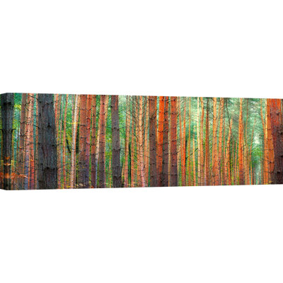 Colours Of The Woods by Pangea Images - Wrapped Canvas Print