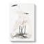 Illustration Of White Herons by John Edward Gray - Wrapped Canvas-55362162
