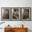 ABSTRACT Series CCLXXXIX  -Custom Framed  Premium Print W Matt - 3 Pieces-944257143-944257141