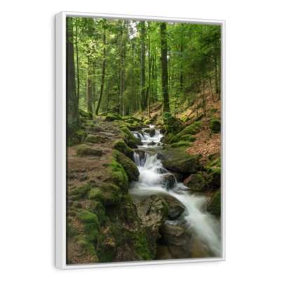 Buhl Forest Stream