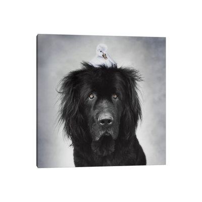 George And Hugo by Rachael Hale - Print on Canvas
