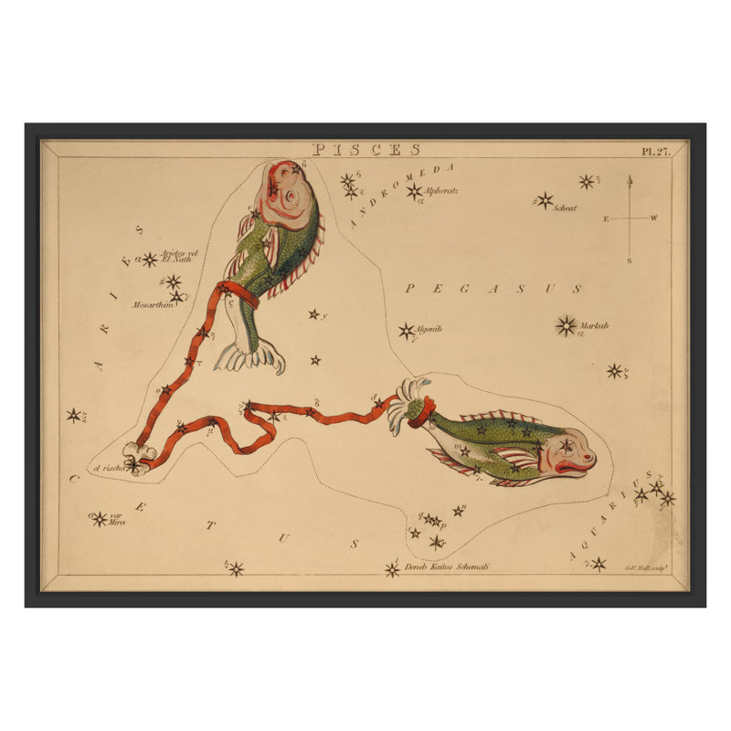 Pisces Print by Grand Archives, Black Framed, 22" H x 31" W