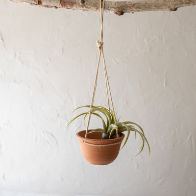 Pot Planter