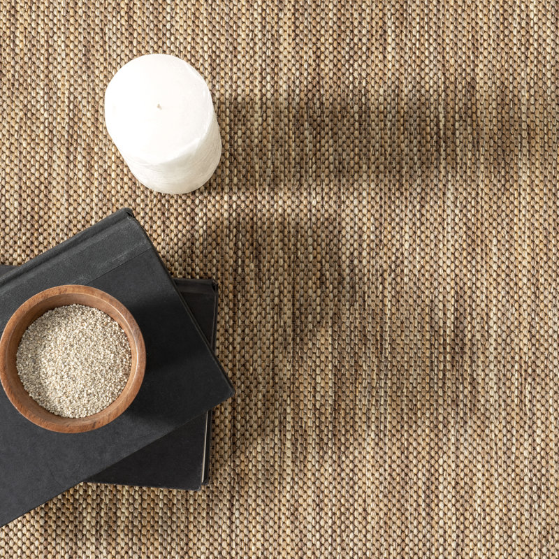 Gracie Oaks Alegre Bordered Power Loomed Tan Indoor/Outdoor Rug ...