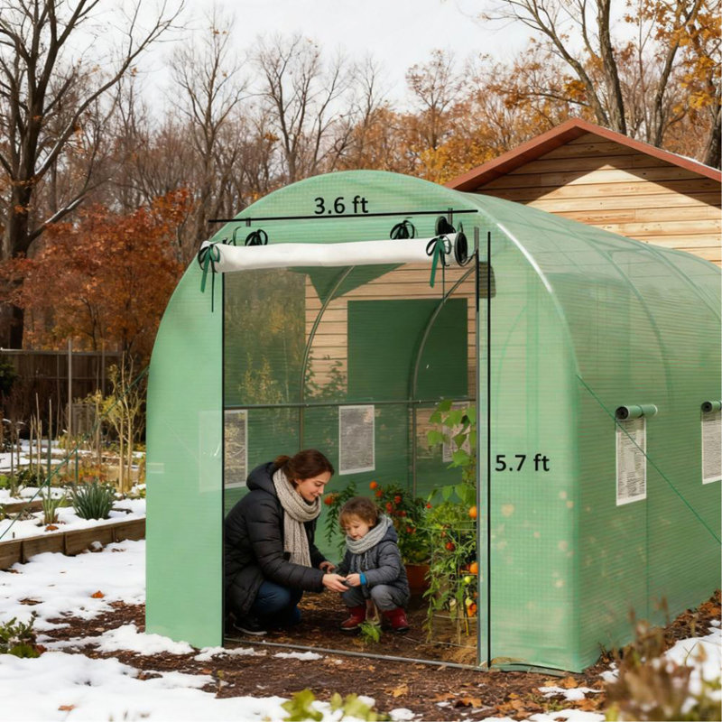 Walk-in Tunnel Greenhouse with 2 Support Rods