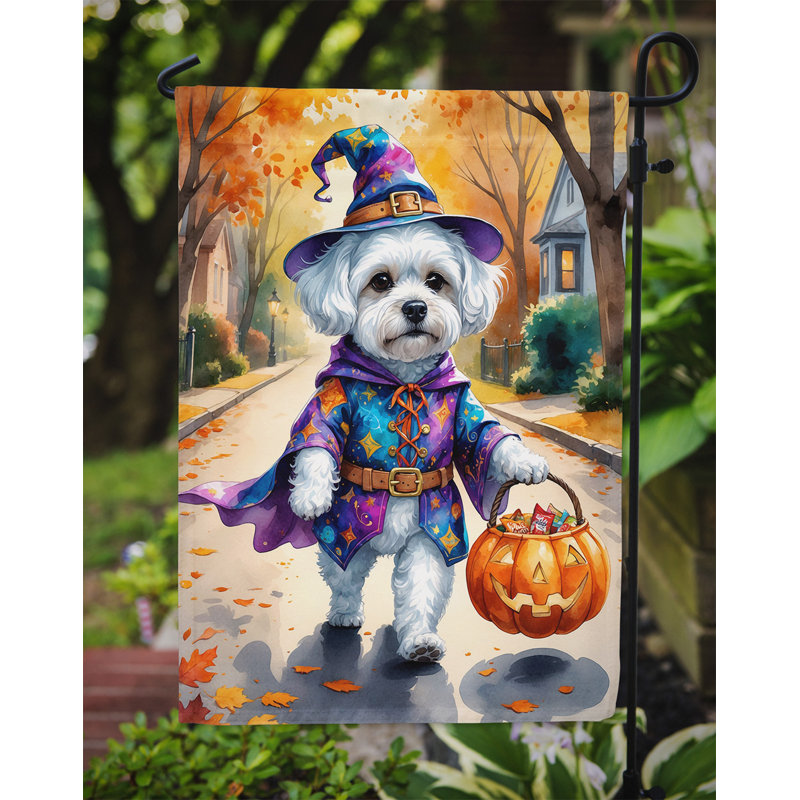 Drapeau du jardin Mastiff, Bichon frisé