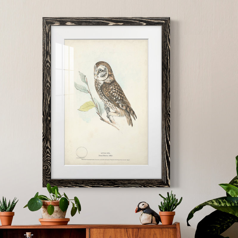 Little Owl Premium encadré mat - prêt à accrocher, H 44 po x l 31 po x P 1 po, Cadre noir