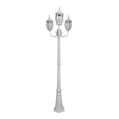 Adedimeji Transparent Lamp Post (Full)