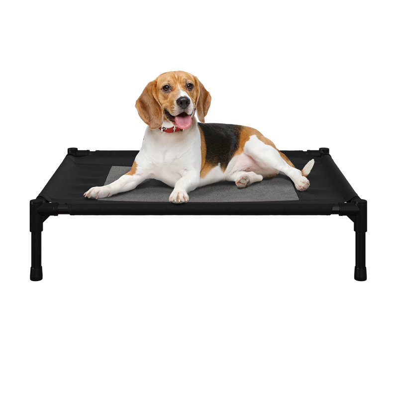 Medium Black Elevated Waterproof Outdoor Dog Bed