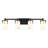 Irela 4-Light Vanity Light in Black-285041195-302682951-285041196