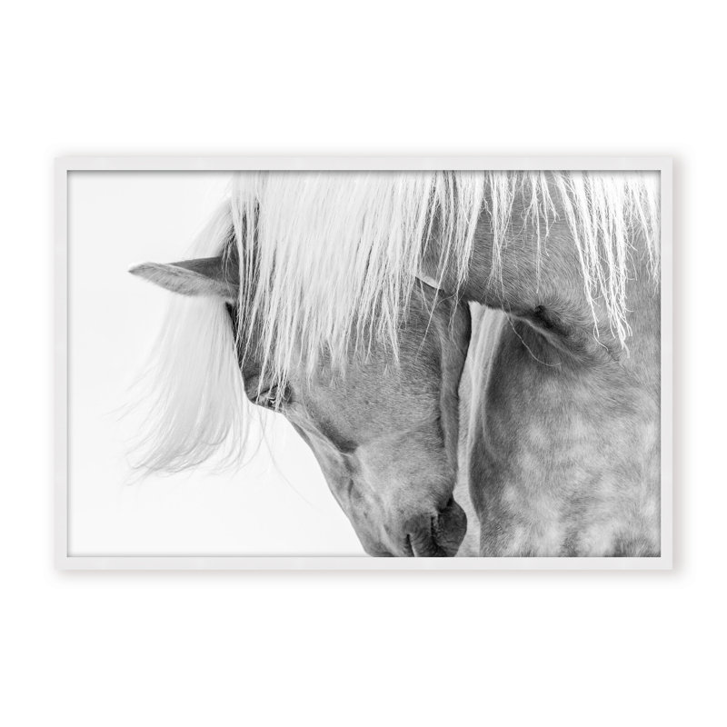 Nature Inspired Halflinger Portrait by  - Picture Frame Photograph on Paper, 24" H x 36" W x 1.125" D, Black