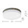 Flush Mount