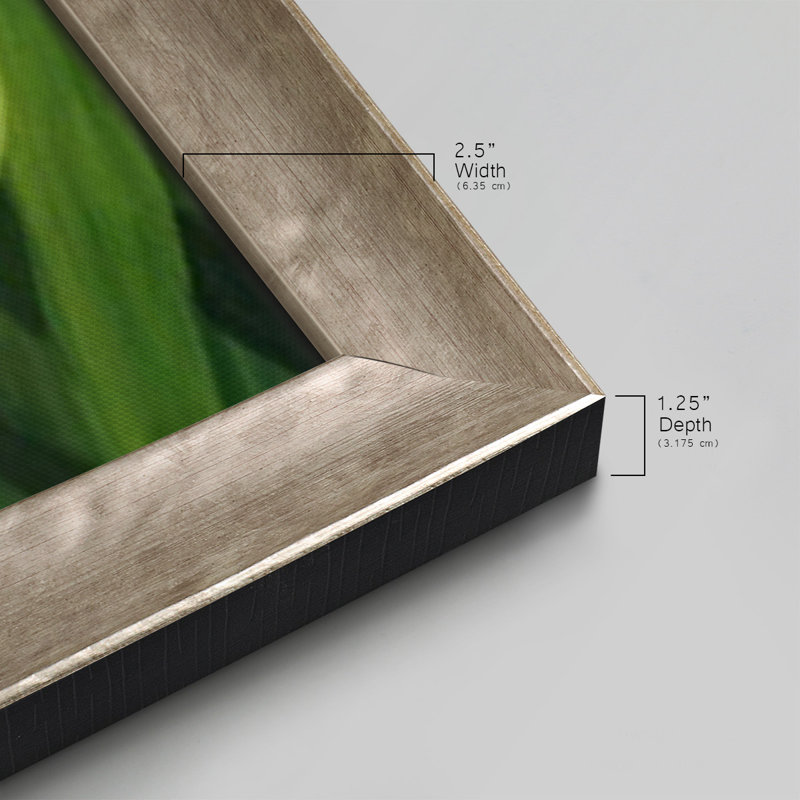 Toile encadrée de qualité supérieure Blades of Grass III - prête à être accrochée, H 29 po x l 53 po x P 1,25 po