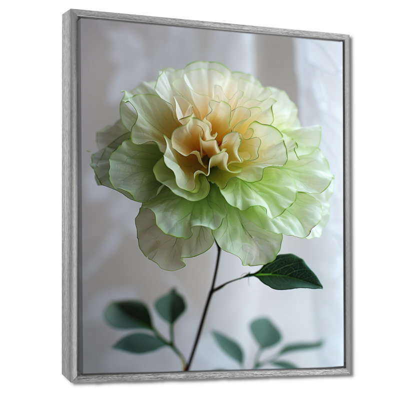 Blanc, blanc, jardin, glamour, souci, photo, souci, art mural, salon, Cadre argenté flottant, bois massif, H 12 po x l 20 po