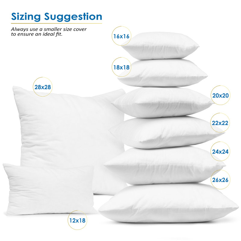 Insert de coussin réversible, 18 po x 18 po, 4 pièces