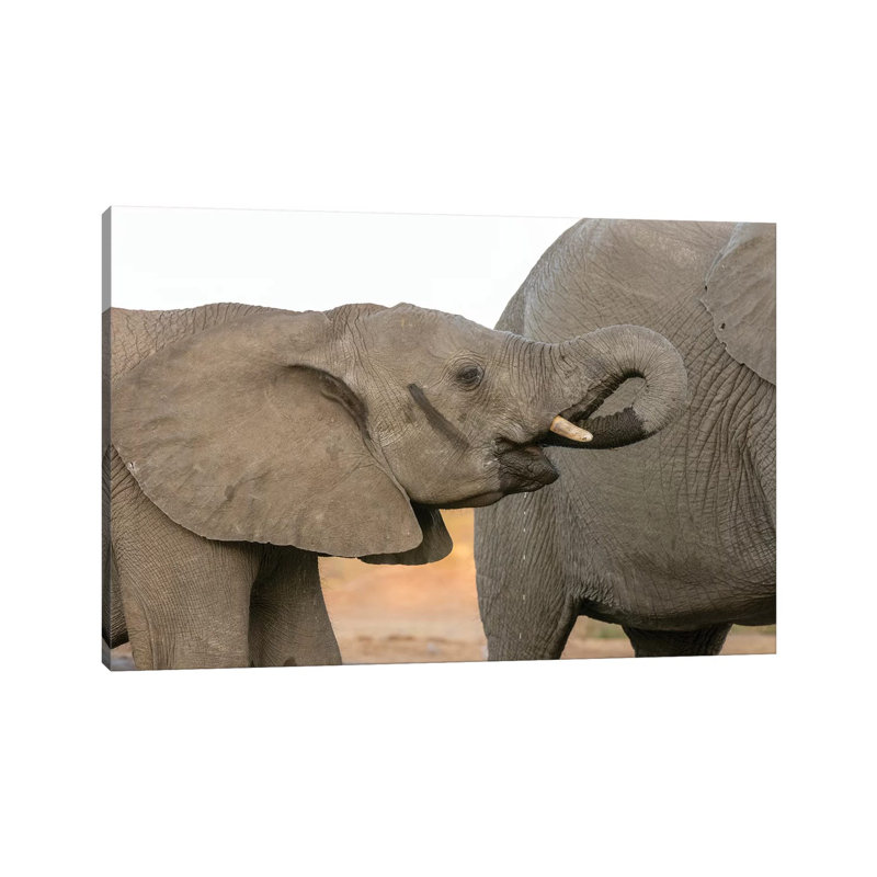 Africa, Botswana, Senyati Safari Camp. Elephants At Waterhole. by Jaynes Gallery - Wrapped Canvas Painting