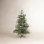 Eastport 3.5' Pre-Lit Pine Christmas Tree