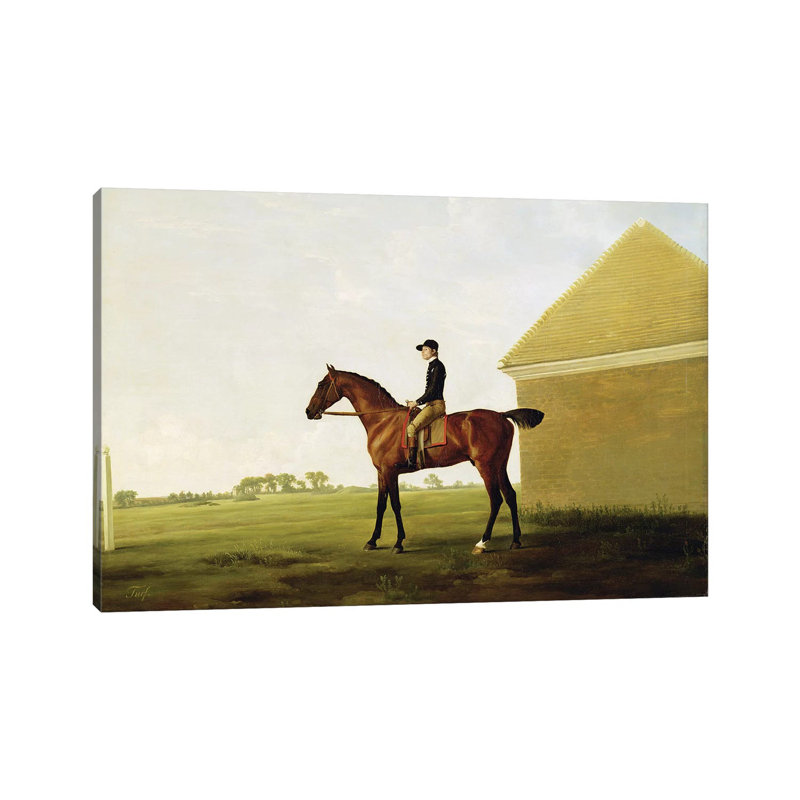 Turf, C.1765 by George Stubbs - Wrapped Canvas Print, 101.6 cm H x 66.04 cm W x 3.175 cm D