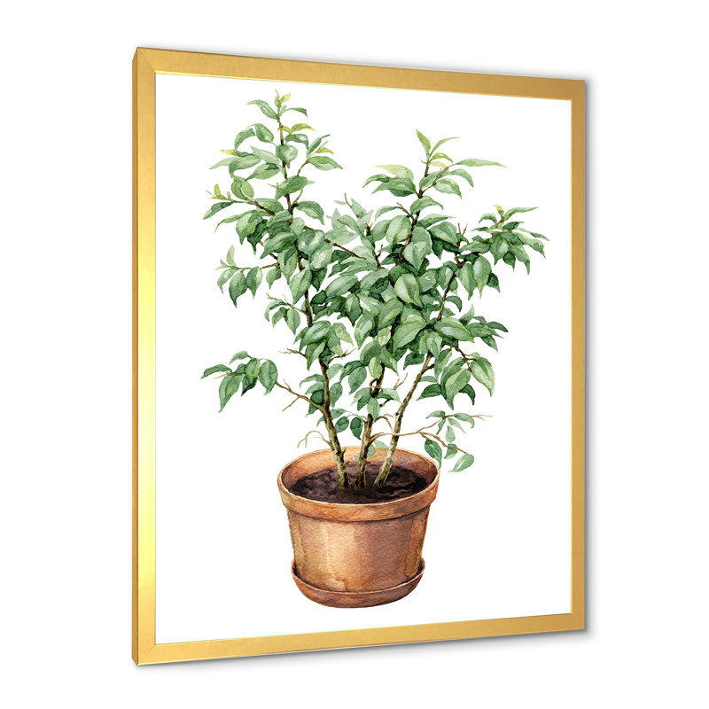 Ficus benjamina dans un pot de fleurs en argile - peinture sur toile, H 20 po x l 12 po x P 1po, Cadre doré