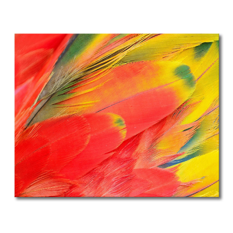 Stretched On Wooden Frame Print on Canvas, 80cm H x 100cm W x 2cm D
