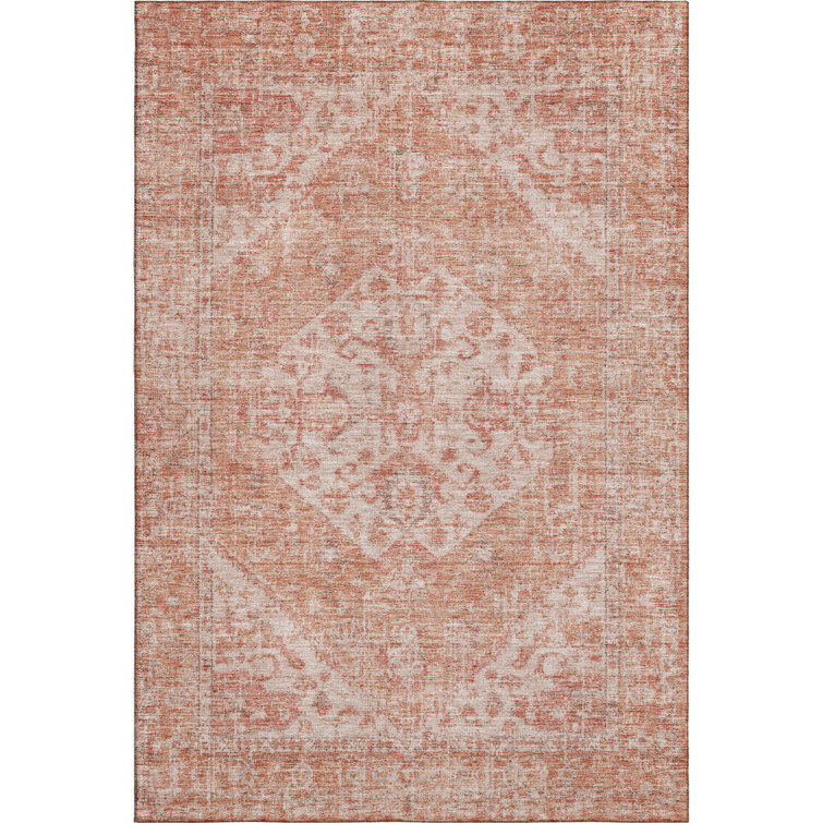 Premium Machine Washable Wayne AMF1104 Global Rug