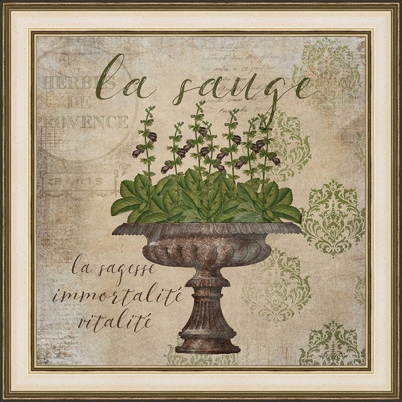 French Herbs La Sauge Framed On Paper Graphic Art