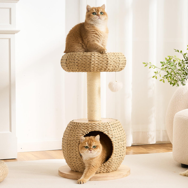 Tour pour arbre à chat Modern Modern