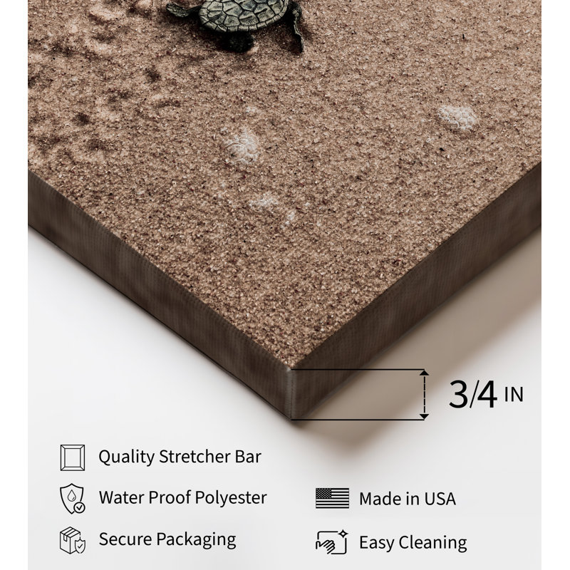 Tortue de mer rampante, H 16 po x l 20 po, Canevas, Sans cadre
