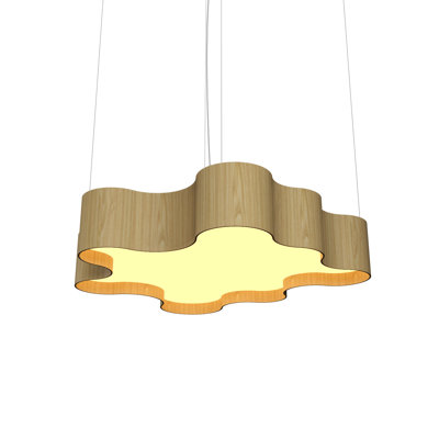 1 - Light LED Unique/Statement Pendant