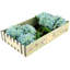 Vibrant Hydrangea Natural Touch, Box Of 6 - 19 Inches-523283675