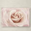 « pêche rose rose », reproduction de photo sur toile tendue-32708097
