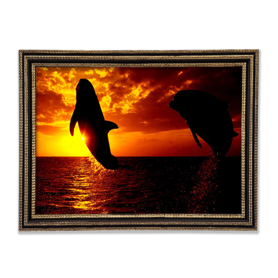 Dolphins Sunglow - Druck