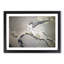Falcon Birds by Matsumura Goshun - Picture Frame Painting Print-55535808-55535809