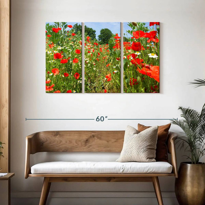 Coquelicots et marguerites Alvord, H 28 po x l 45 po