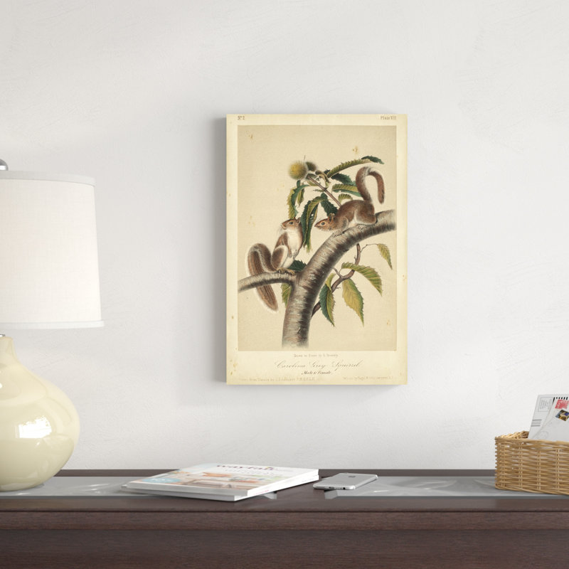 Écureuil Audubon I, H 18 po x l 12 po x P 1,25 po